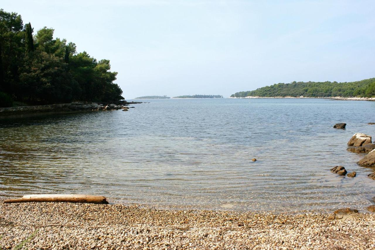 With Wifi - 15084 Apartament Rovinj